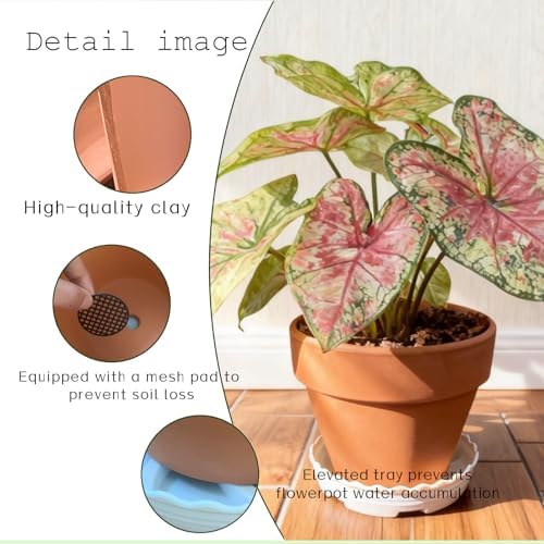 6-Inch Terracotta Pots, Set of 4 with Drainage Hole & Saucer, Breathable and Well-Drained for Indoor Outdoor Plants, Ideal for Garden Decor - Image 4