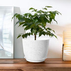 2Pack Large Indoor Planter Pot 12 Inch Plant Pot, Modern Flower Pots for Out Door Plants, Speckled White Plastic Planting Pots with Holes & Trays - Image 4