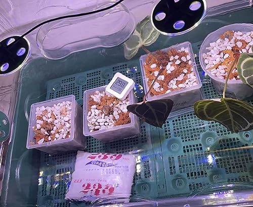 50QT Organic Perlite Horticultural Soil Amendment for Plants and Enhanced Drainage Enhanced - Image 6
