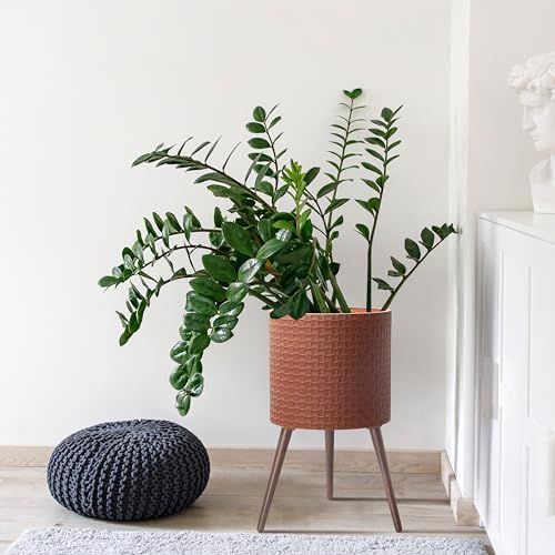 D'vine Dev Planter Pot with Wood Stand, 16 in, Terra Cotta, 88-Z-E-3 - Image 2