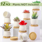 Remerry 12 Pcs 2.5 Inch Mini DIY Ceramic Succulent Pots with Bamboo Tray - Image 5