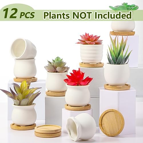 Remerry 12 Pcs 2.5 Inch Mini DIY Ceramic Succulent Pots with Bamboo Tray - Image 5