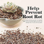 Bonsai Jack Succulent, Cactus and Bonsai Soil - Jacks Gritty Mix - 2 Gallons – Fast Draining – Fight Root Rot – Optimized pH - Image 3