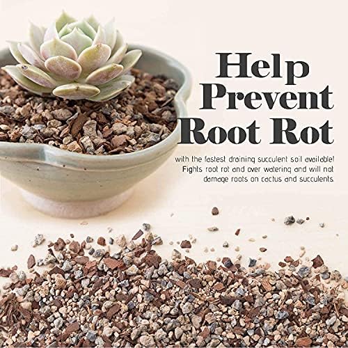 Bonsai Jack Succulent, Cactus and Bonsai Soil - Jacks Gritty Mix - 2 Gallons – Fast Draining – Fight Root Rot – Optimized pH - Image 3