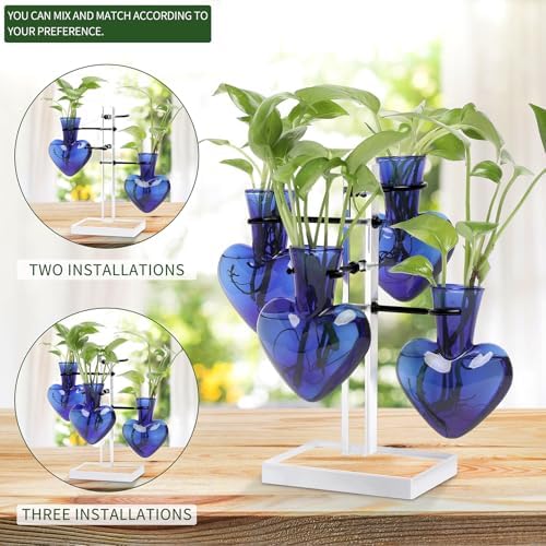 Plants Propagation Stations Plant Terrarium Kit Gift for Women - Image 3