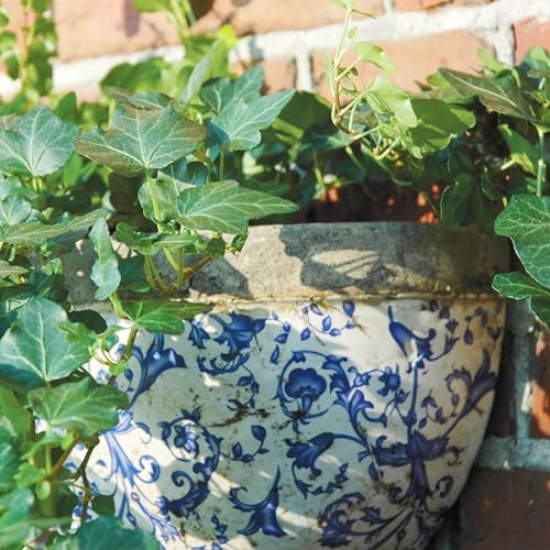 Esschert Design USA Ceramic Wall Planter-Blue/White - Image 4