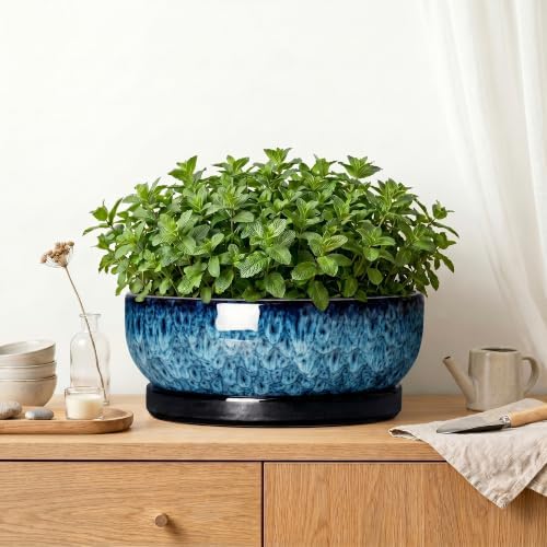 Bonsai Pots, 13 Inch Ceramic Succulent Pot with Saucer, Blue - Image 6