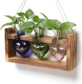 Plant Terrarium Propagation Stations Hydroponics by MTsigns