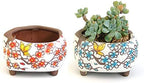 Succulent Pots 5 inch Hand Painted Cactus Plant Pot Clay Pot Flower Pot Planter Container with Drainage Hole Pack of 2 (Blossom Blue and Red) by SUMMERIMPRESSIONS