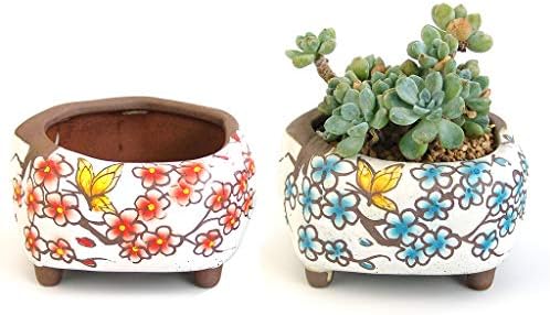 Succulent Pots 5 inch Hand Painted Cactus Plant Pot Clay Pot Flower Pot Planter Container with Drainage Hole Pack of 2 (Blossom Blue and Red) by SUMMERIMPRESSIONS