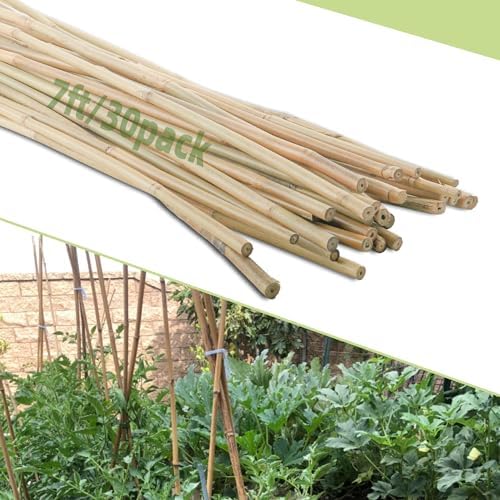 30Pcs / 7ft Bamboo Plant Stakes for Indoor Outdoor Plants, Garden Plant Support Sticks, Poles for Tomato Vegetables Beans Trees Potted Climbing Plants(0.32''-0.4'') by Avalution