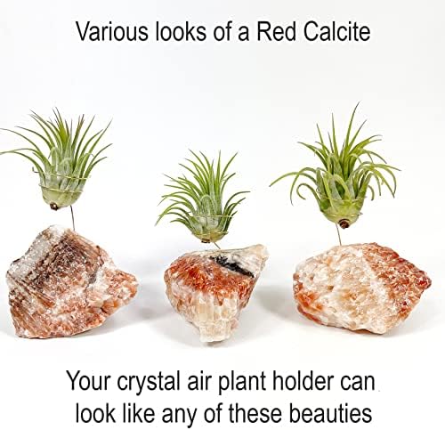 Red Calcite Crystal Air Plant Holder Made Includes Healthy Air Plant and Gift Box Meaningful Birthday Gift - Image 2
