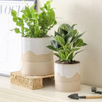 Nihow Self Watering Ceramic Planter, 4.5+6 Inch, White & Nature - Image 6