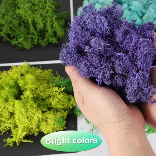 uxcell Preserved Reindeer Moss, 17.6oz Fake Moss for Crafts Artificial Dried Moss for Decoration Terrariums Potted Plants, Light Green - Image 4