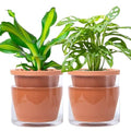 D'vine Dev Self Watering Terracotta Planter Pot, 6 in, 2-Pack, 37-Y-B-1 by DvineDevPlanterPotsandStand
