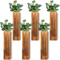 Skylety 6 Pack Wood Wall Planters for Indoor Plants Wooden Hanging Vase Farmhouse Wall Decoration for Bedroom and Living Room(Wood Color) by Skylety