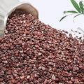 NUPICK 12 lbs Pebbles for Indoor Plants, 1/5 Inch Pea Gravel for Fish Tank by CreateAmazingChoice