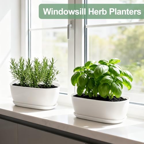 Oliz Set of 8 White Oval Shallow Herb Garden Planters with Drainage Holes and Trays (8.66 Inch) Plant Pots for Herbs Basil Orchids Succulents, Modern Herb Garden Planter for Indoor/Outdoor Plants - Image 7