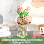 6 Pcs Glass Plant Propagation Station with Wood Lid & Stand, Novel Style - Image 4