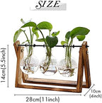 XXXFLOWER Plant Terrarium with Wooden Stand Air Planter Bulb Glass Vase Metal Swivel Holder Retro Tabletop for Hydroponics Home Garden Office Decoration - Image 3