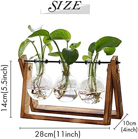 XXXFLOWER Plant Terrarium with Wooden Stand Air Planter Bulb Glass Vase Metal Swivel Holder Retro Tabletop for Hydroponics Home Garden Office Decoration - Image 3
