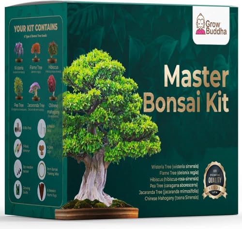 Green Grow Buddha Master Bonsai Tree Growing Kit - Professional Growing and Styling Set - Japanese Small Tree - Become Master - Ideal Tree Seed Kit for Indoor Garden Gardening by GrowBuddha