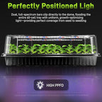 Mulctun 60-Cell Seed Starter Tray with Grow Light, Seedling Starter Trays with 4.08" Humidity Dome, Self-Watering Plant Germination Trays,Seed Starter Kit for Seeds Growing (Black) - Image 3