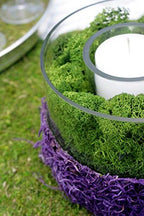 Super Moss (21499 Reindeer Moss Preserved, Forest Green, 10lbs - Image 2