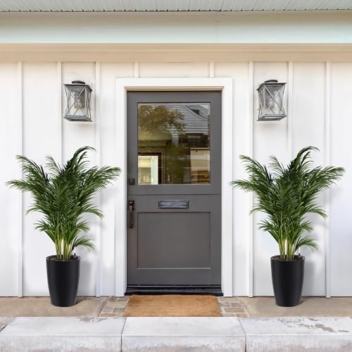 Self-Watering Tall Planter Set – 2 Large 16" & 22" Black Plastic Flower Pots with Drainage, Water Level Gauge – Indoor Outdoor Use, Patio, Porch, Balcony, Garden, Home Office - Image 6