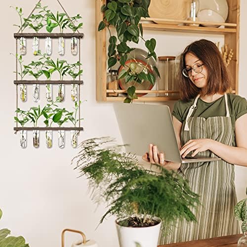 XXXFLOWER Wall Hanging Propagation Station with 5 Glass Test Tubes 3 Tiers+Wall Hanging Glass Terrariums,Heart-Shaped Set of 4 - Image 4