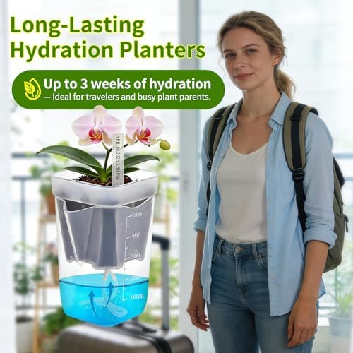 HITOSTAR 12 Pack 4 Inch Mini Clear Self Watering Pots for Indoor Plants, Small Plastic Planters with Drainage, Hydroponic Nursery Propagation Cups, for African Violet Alocasia Pot (4 Inch, 12Pack) - Image 3