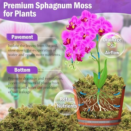 Riare 3.3LB Premium Sphagnum Moss for Plants- 60QT Natural Dried Plant Moss - Image 3