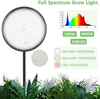 100W Grow Light for Indoor Plants, Full Spectrum LED Tall Plant Lights with Timer, Standing Floor Growing Lamp, 67" Height Adjustable for Large Many Plants - Image 3