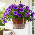 25 PCS Hanging Basket Saucers for Plants – Clear 6-12 Inch Plastic Watering Tray with Hooks, Anti-Leak Drip Pan & Water Catcher for Indoor & Outdoor Hanging Baskets (8 in,25PCS) - Image 7