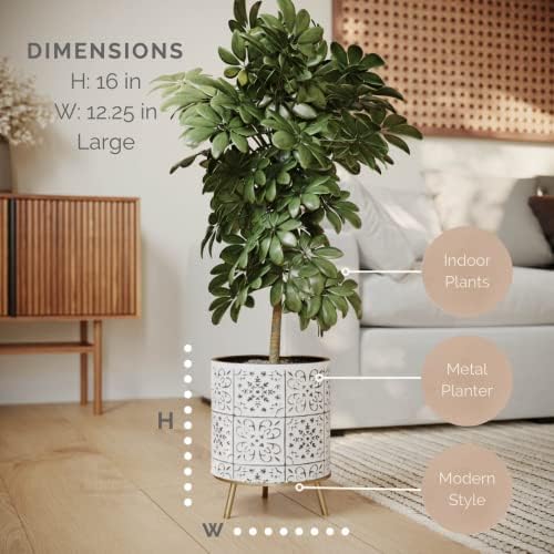 EverNest Tristan Neutral Minimal White and Black Modern Style Planter with Nyra Stand, SelectBase Plant Pots, Indoor Planter, Boho Home Decor, Minimalist Pot for Plants (Large, Gold) - Image 2