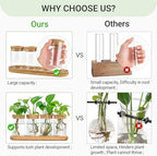 Dahey Macrame Plant Hanger Indoor and 4 Pcs Plant Propagation Stations for Indoor Plants Centerpiece Tabletop Home Office Garden Decor - Image 7