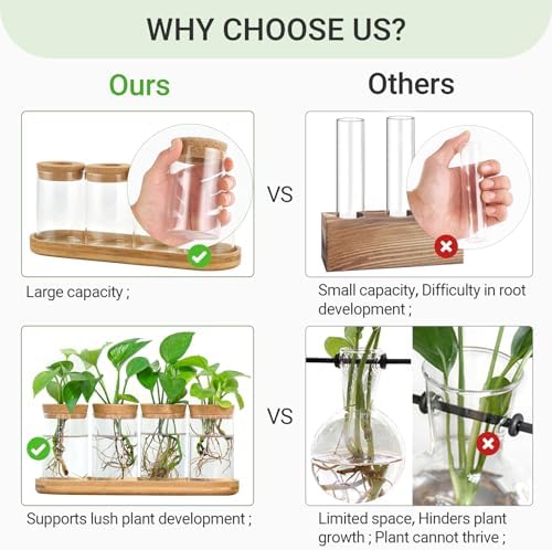 Dahey Macrame Plant Hanger Indoor and 4 Pcs Plant Propagation Stations for Indoor Plants Centerpiece Tabletop Home Office Garden Decor - Image 7