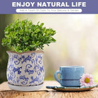 Ceramic-Planters-for-Indoor-Plants with Saucer, 6 inch Vintage Ice Crackle Glaze Plant Pots with Drainage Holes, Decorative Flower Pots for Outdoor Garden Home Decor, Tuscan Pot for Plant - Image 2