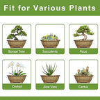 Ceramic Bonsai Pots - 11 Inch Succulent Planters for Indoor Outdoor Plants, Bonsai Tree Pots with Drainage Hole, Shallow Succulent Plant Pot, Room Decor, Plant Lover Gift, Oval Yellowish Brown - Image 7