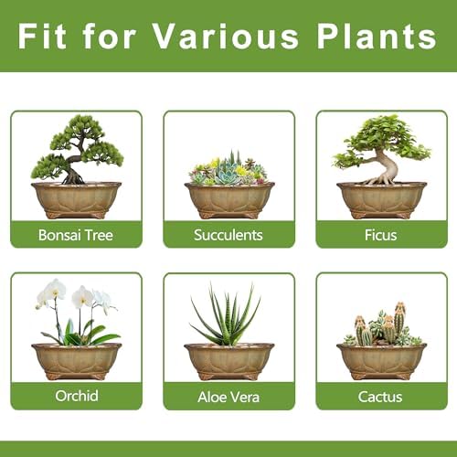 Ceramic Bonsai Pots - 11 Inch Succulent Planters for Indoor Outdoor Plants, Bonsai Tree Pots with Drainage Hole, Shallow Succulent Plant Pot, Room Decor, Plant Lover Gift, Oval Yellowish Brown - Image 7
