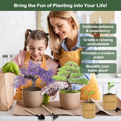 LUOJIBIE Bonsai Tree Kit, Complete Bonsai Starter Growing Kit, Christmas Birthday Gifts for Women Men Mom Dad Girls Boys, Gardening Gift for Plant Lovers, White Elephant Gifts for Adults - Image 6