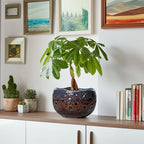 Ceramic Planter, 8 Inch Plant Pots with Drainage Hole, Brown-Blue - Image 6
