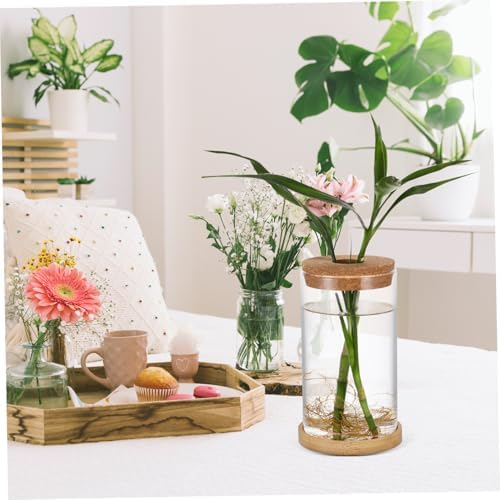 Glass Hydroponic Propagation Vase Planter for Green Radish and Plants with Tube, Design to Observe Water Levels, for Office and Home Decor - Image 6