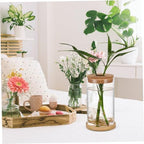 Glass Hydroponic Propagation Vase Planter for Green Radish and Plants with Tube, Design to Observe Water Levels, for Office and Home Decor - Image 6
