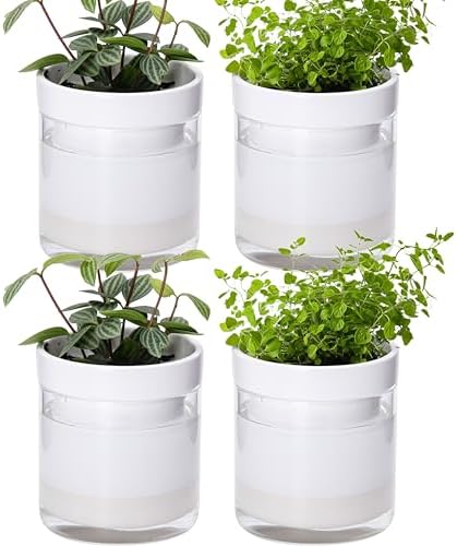 Phoenix Vine 4 Inch Self Watering Planter, White Terracotta Clay Pot with Glass Reservoir for Indoor Plants, Herbs, Flowers, Set of 4, 52-B-E-4 by Phoenix+Vine