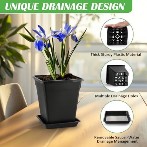 BTPLASTIK Square Plastic Planter 8 Inch, Plant Pots with Drainage Hole & Tray, 10 Pack Modern Decorative Garden Pot with Saucer, 1 Gallon Flower Pots Planters for Indoor Outdoor Plants - Image 2