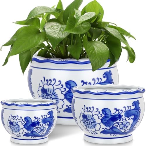 Briwooody Set of 3 Chinoiserie Planters Blue White Ceramic, Elegant Style by Briwooody
