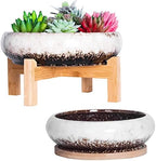 Succulent Pots, 7.3/10 Inch Large Bonsai Pots with Trays Set of 2 by ARTKETTY