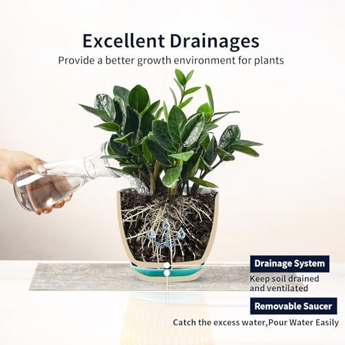 Selamica Ceramic Plant Pots, 4.6+5.6+6.5 Inch Planters with Drainage Holes & Saucer, Flower Pots for Indoor Plants, Home Decor, Set of 3, Assorted Colors - Image 7