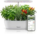 Nouri Hydroponics Growing System, 12 pod APP Smart Indoor Herb Garden Kit with LED Grow Lights, Hydroponic Herb Garden Indoor for Plant Lovers, Gardeners, Kitchen, Lettuce Seeds Included by Nouri